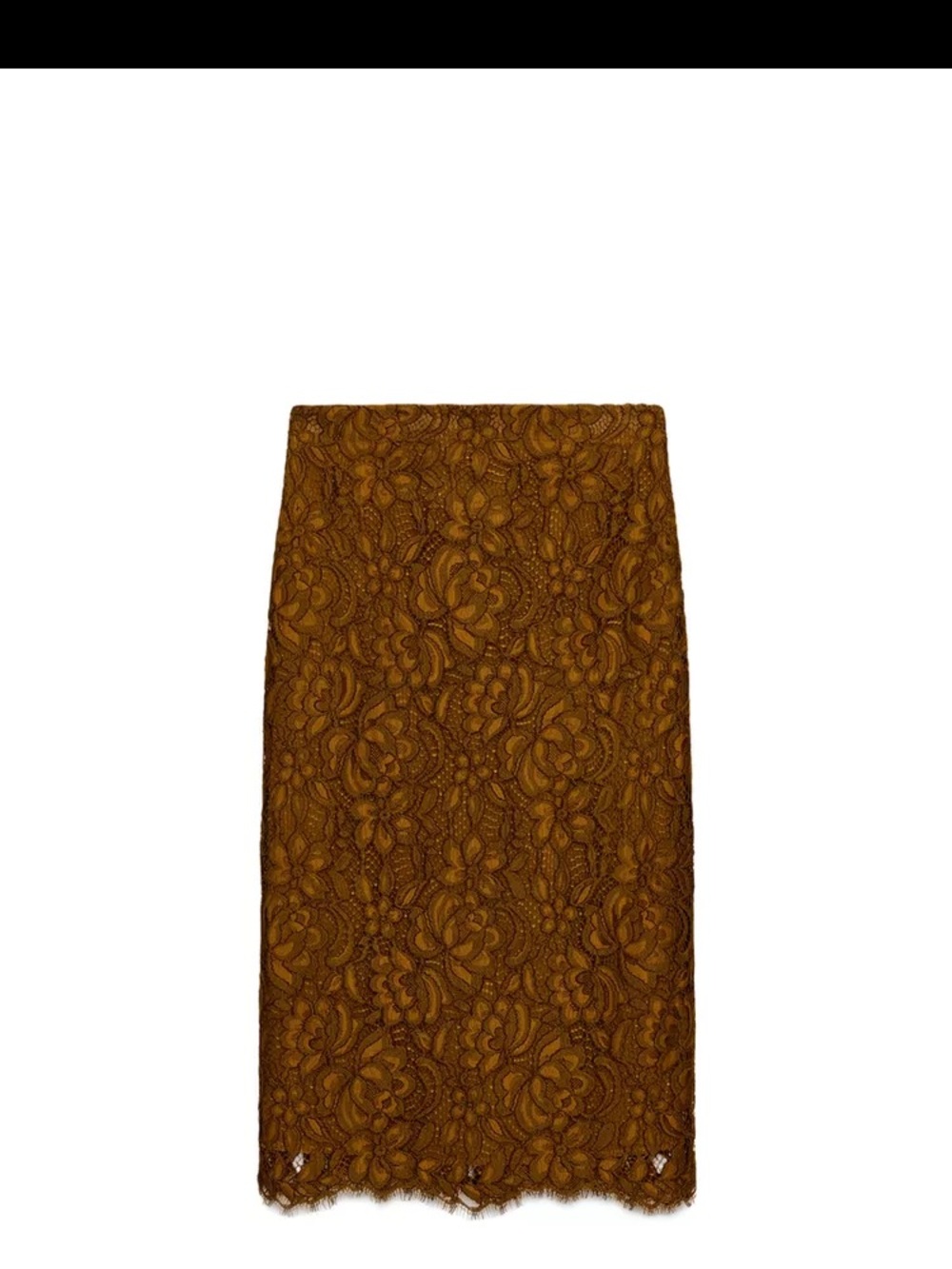 Zara Brown Floral Lace Pencil Skirt